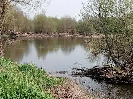 Photo de Aire De Bois Poulas