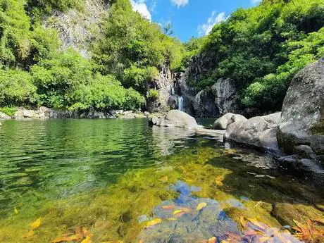 bassin des aigrettes