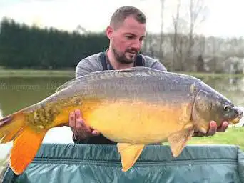 Etang De Jade
