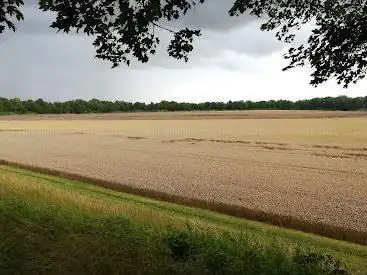 Oppidum de La Cheppe (Camp d'Attila)