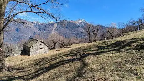 Bellinzona Cauri