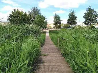 Parc du Gué de Gesnes
