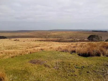 Tor Clawdd Ring Fort