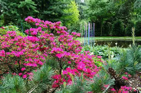 Arboretum Trautmann