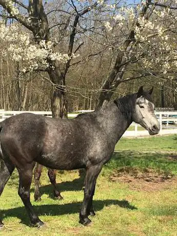 Photo de High Hopes Farm