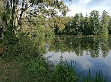 Étang