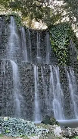 Photo de Estanque del parque Fuente del Berro