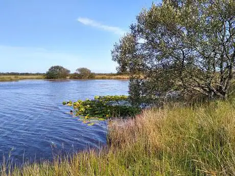 Broad Pool