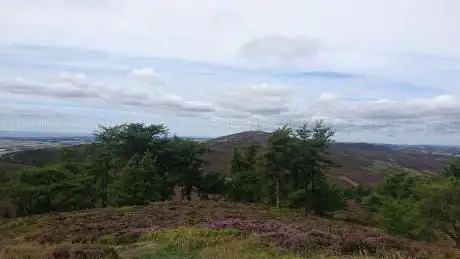 Photo de Auchterhouse Hill