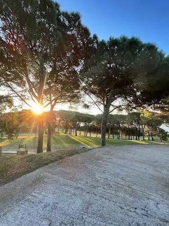 Menhir del Mas Nou