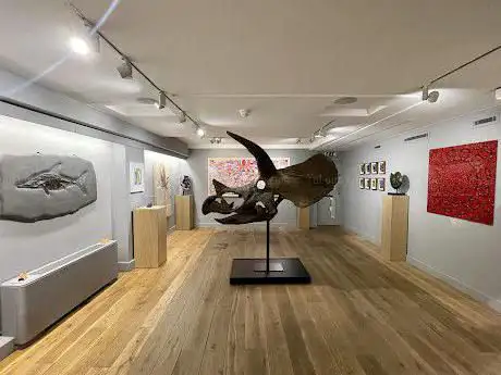 Photo de Extraordinary Objects