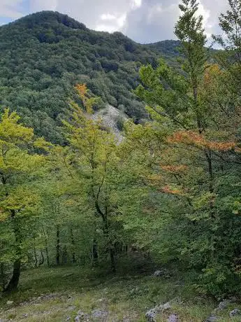 Photo de La Cacata del Lupo
