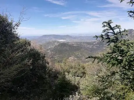 Photo de Pinsapar De Grazalema