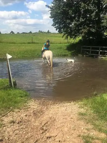 Photo de Poplars Farm Cross Country