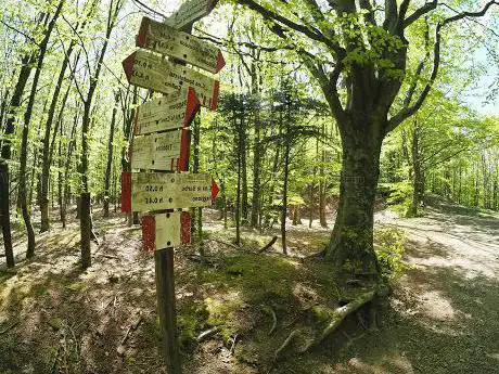 Passo degli Acquiputoli