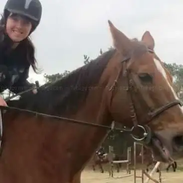 Photo de village equestre de brix