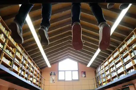 Photo de Biblioteca Municipal Maria de Jonquers