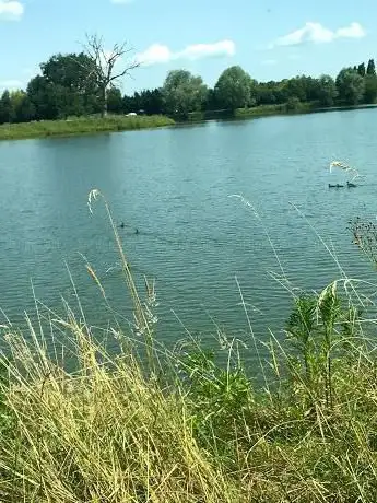 Photo de Etang Jean Chereau