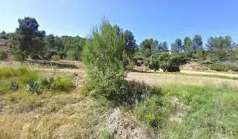 Photo de Bosc del Mirador de Montserrat