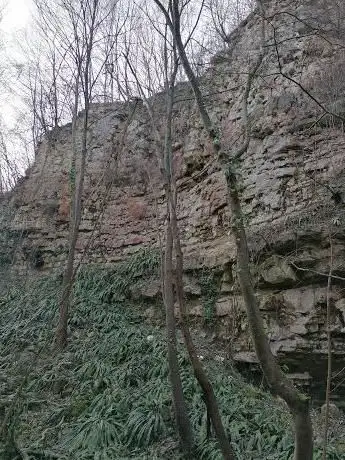 Val Gallina