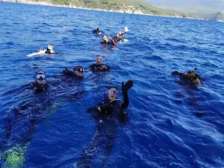 Photo de FRALA Divers Boat Immersioni Sub Crociere Arcipelago Toscana DIVING