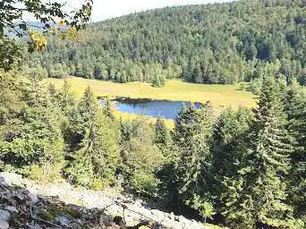 Photo de Point De Vue De La Tourbiere De Machais