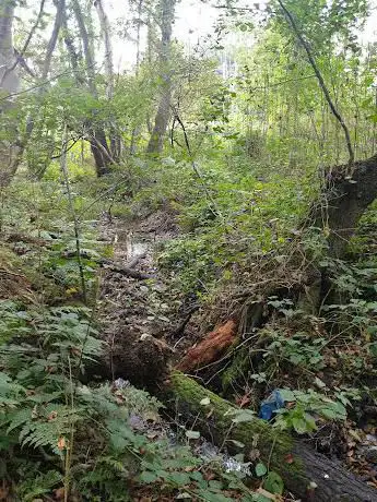 Brandon Reach Nature Reserve
