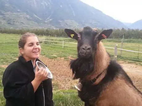 Ferme Bérangère Carron et Famille