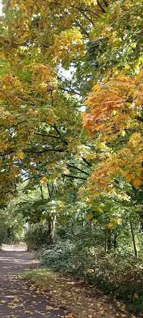 Green Belt