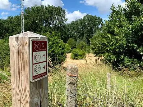 Wandelknooppunt 31