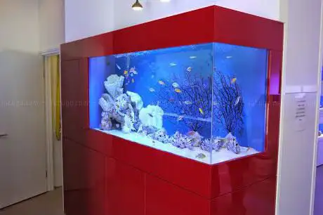 Photo de London Aquariums