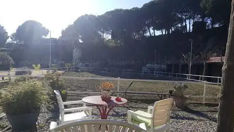 Poni Passió Maresme