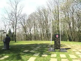 Hill 314