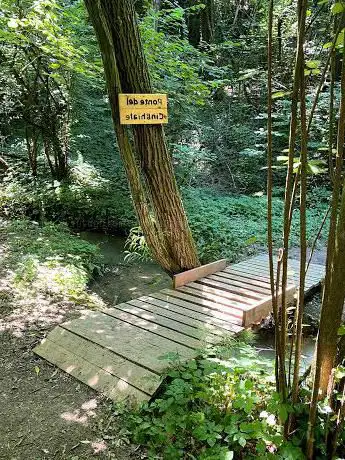 Photo de PONTE DEL CINGHIALE MTB