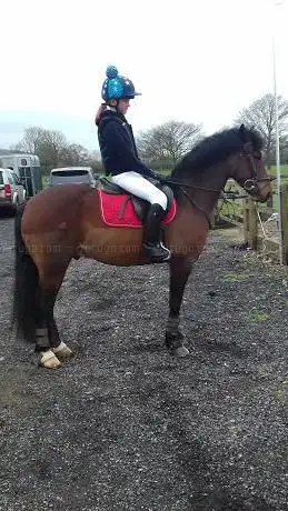 Sperrings Equestrian