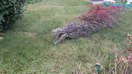 Tuin met unieke kunstwerken