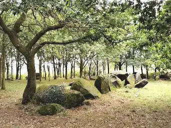 Photo de L'Allee Couverte Du Chene-Hut