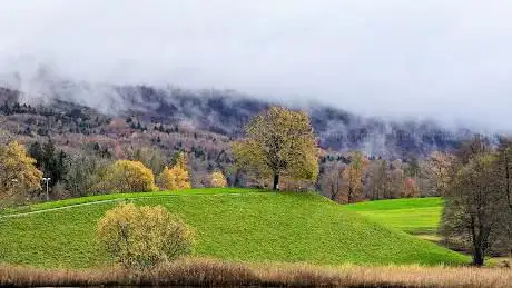 Gattikerweiher