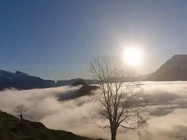 Gorgeous View
