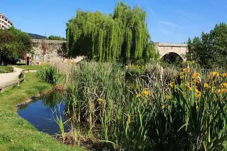Photo de da Ribeira de Canedo Park