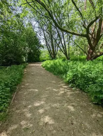Trent Mill Nature Reserve