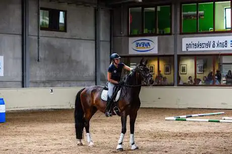 Equi-support