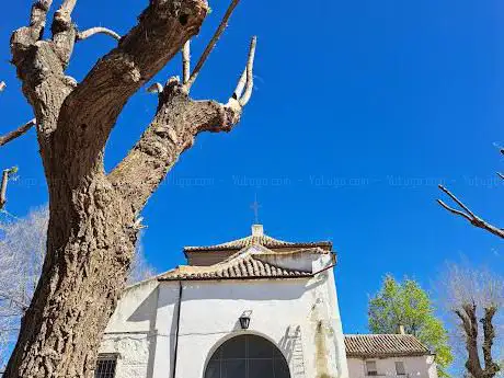 Ermita de la Virgen de la Torre