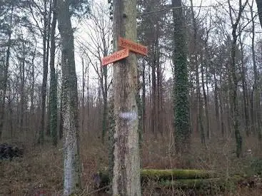Kreuzung Brückenweg/Bunkerweg