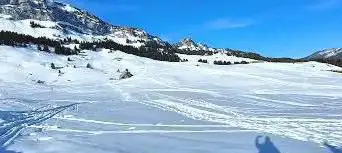 Plateau des glieres