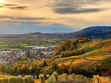 Schöne Aussicht - Bellevue