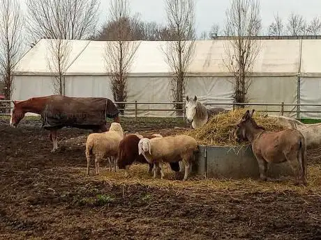 Photo de Parco rurale sovracomunale Civiltà delle Rogge
