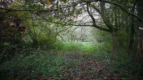 IJzenbeekbos Natuurpunt Asse