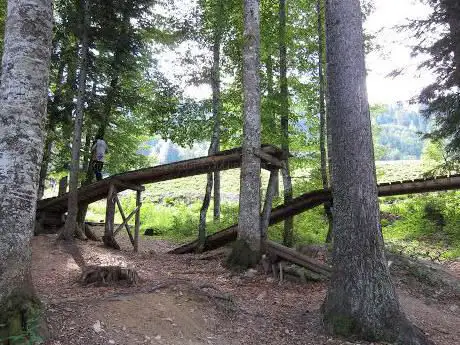 Photo de North Shore MTB Wood Park