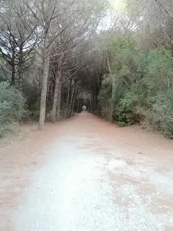 Photo de Riserva naturale Tomboli di Cecina INGRESSO LE TAMERICI